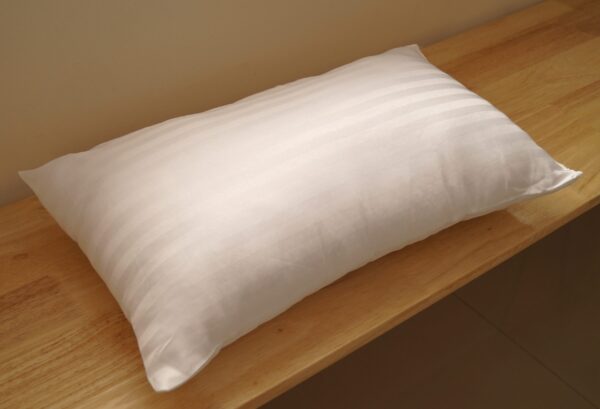 Vissage Pack Of 1 Soft Fibre Cushions : 30cm * 50CM