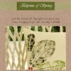 Vissage Spring Leaves Set Of 1 Cushion Cover : 40CM * 40CM - Image 2