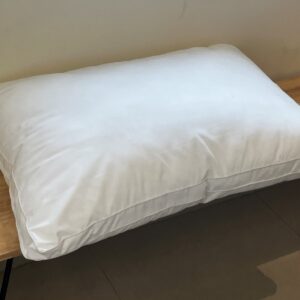 Vissage Soft Microfibre Pillow, 20IN*30IN, 1000GMS