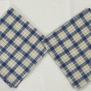 Vissage Checkered Kitchen Towels/Dish Towels, Blue & White, Cotton, Pack of 2